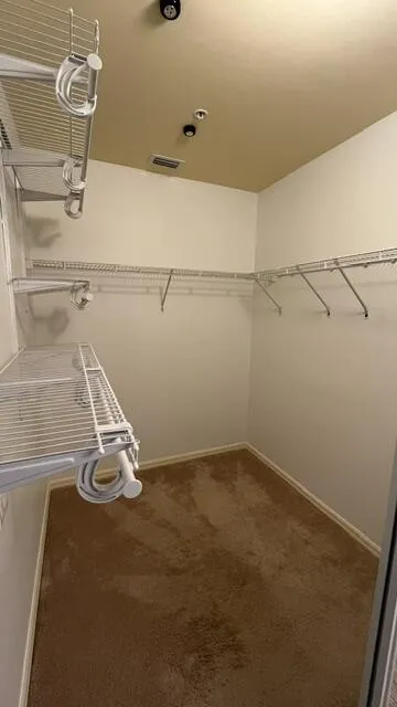 Large Walk-in Master Closet