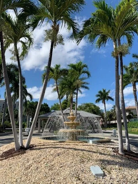 pic 4