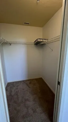Large Walk-in Guest Closet