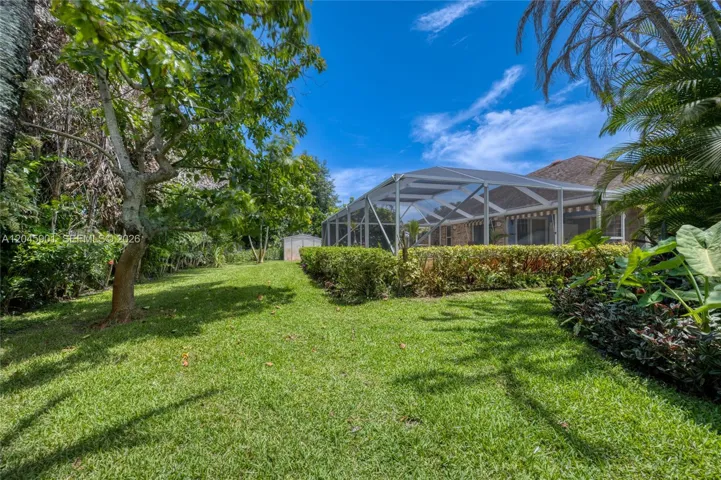 Backyard