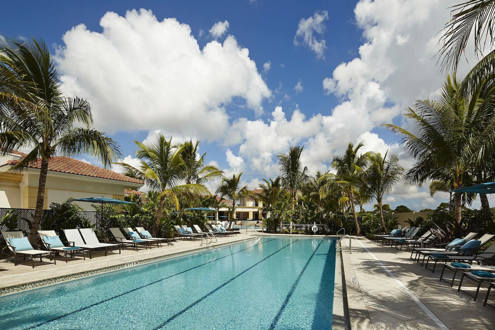 Lap Pool