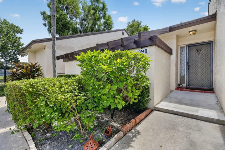 3-web-or-mls-003__14A9833