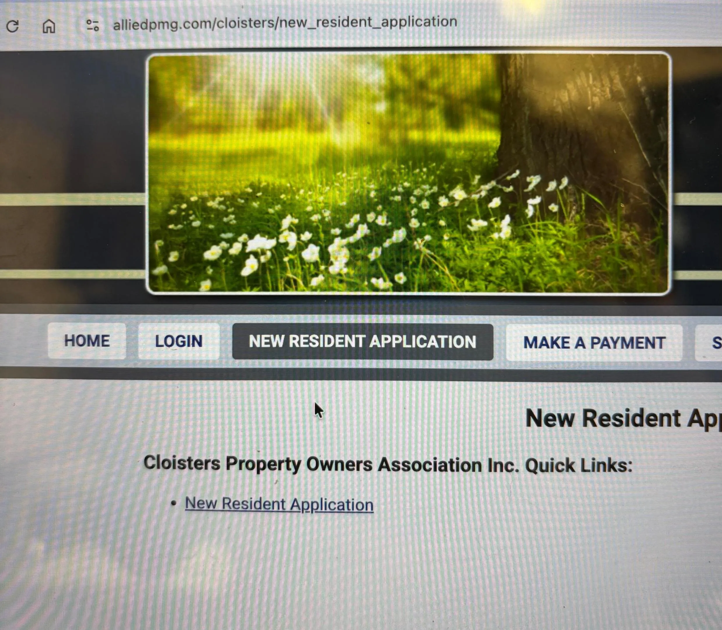 Rental Application