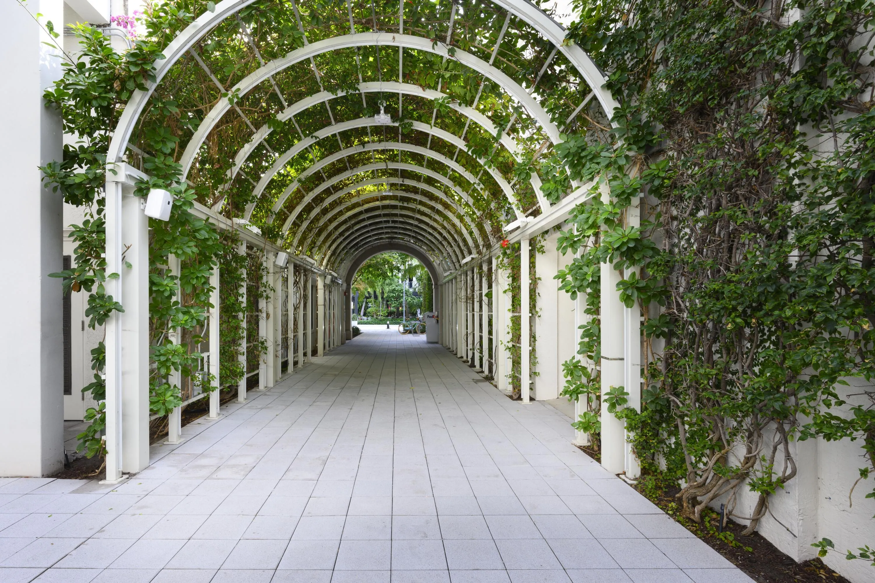 ROSEMARY SQUARE