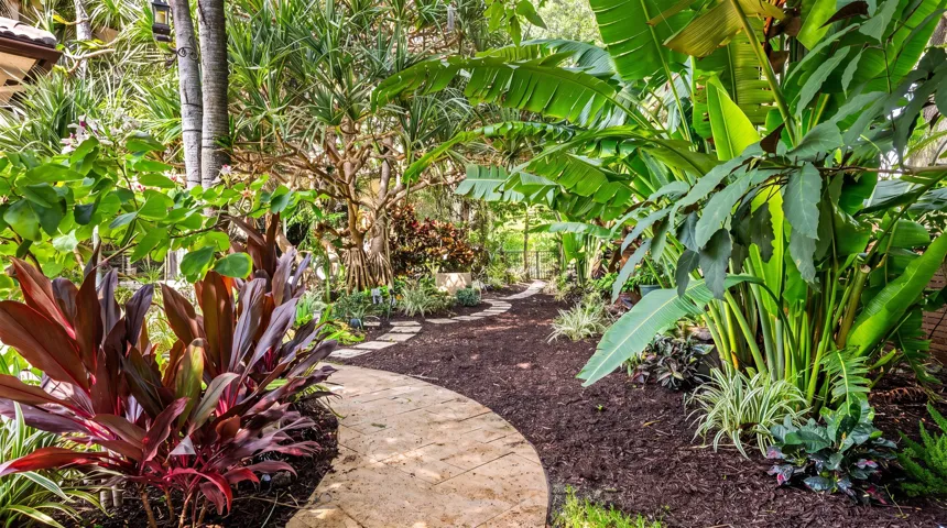 Tranquil Backyard Oasis