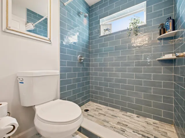 Jack and Jill Bath Shower Toilet