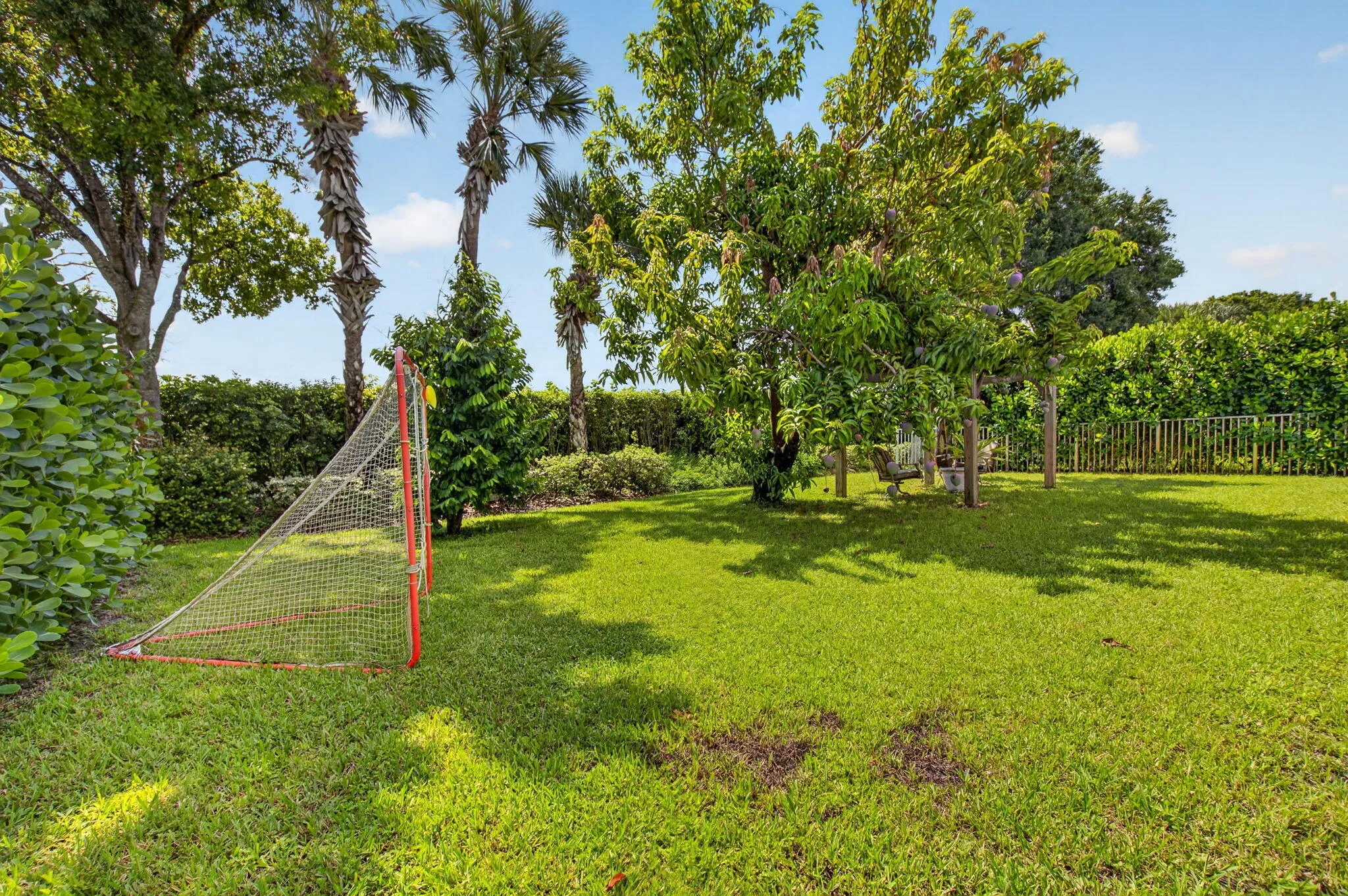 35-web-or-mls-DSC_7950