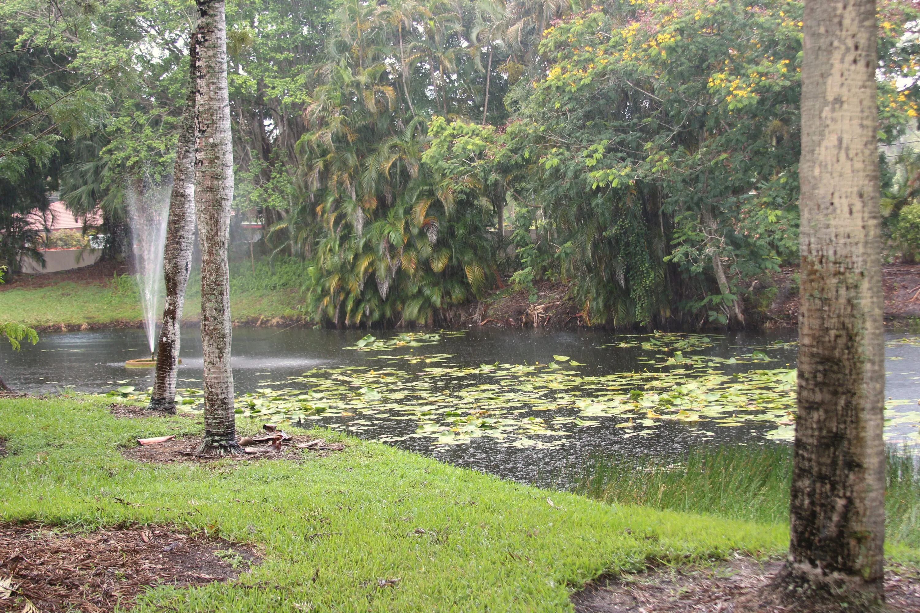 Club house lake view