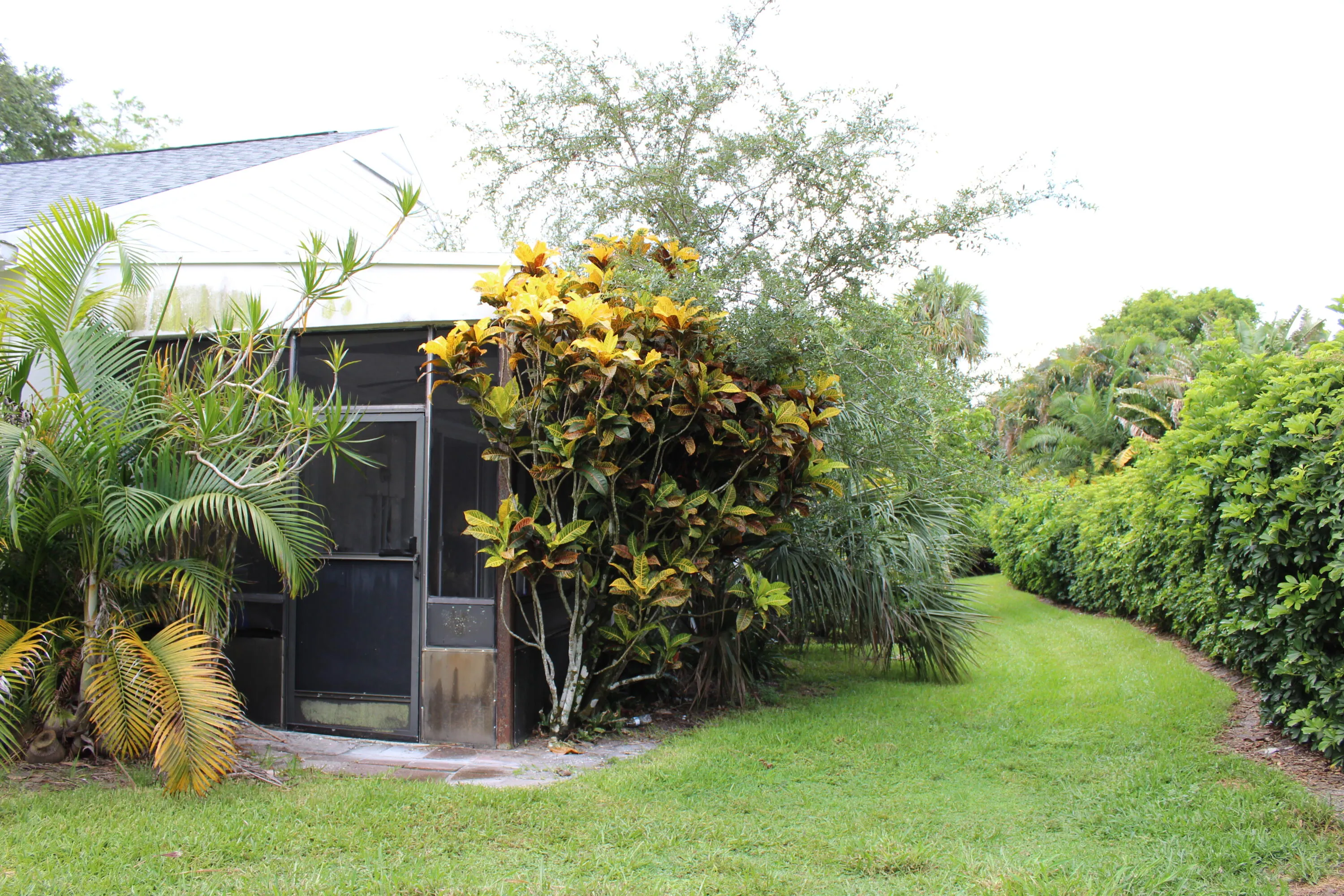 Exterior back yard