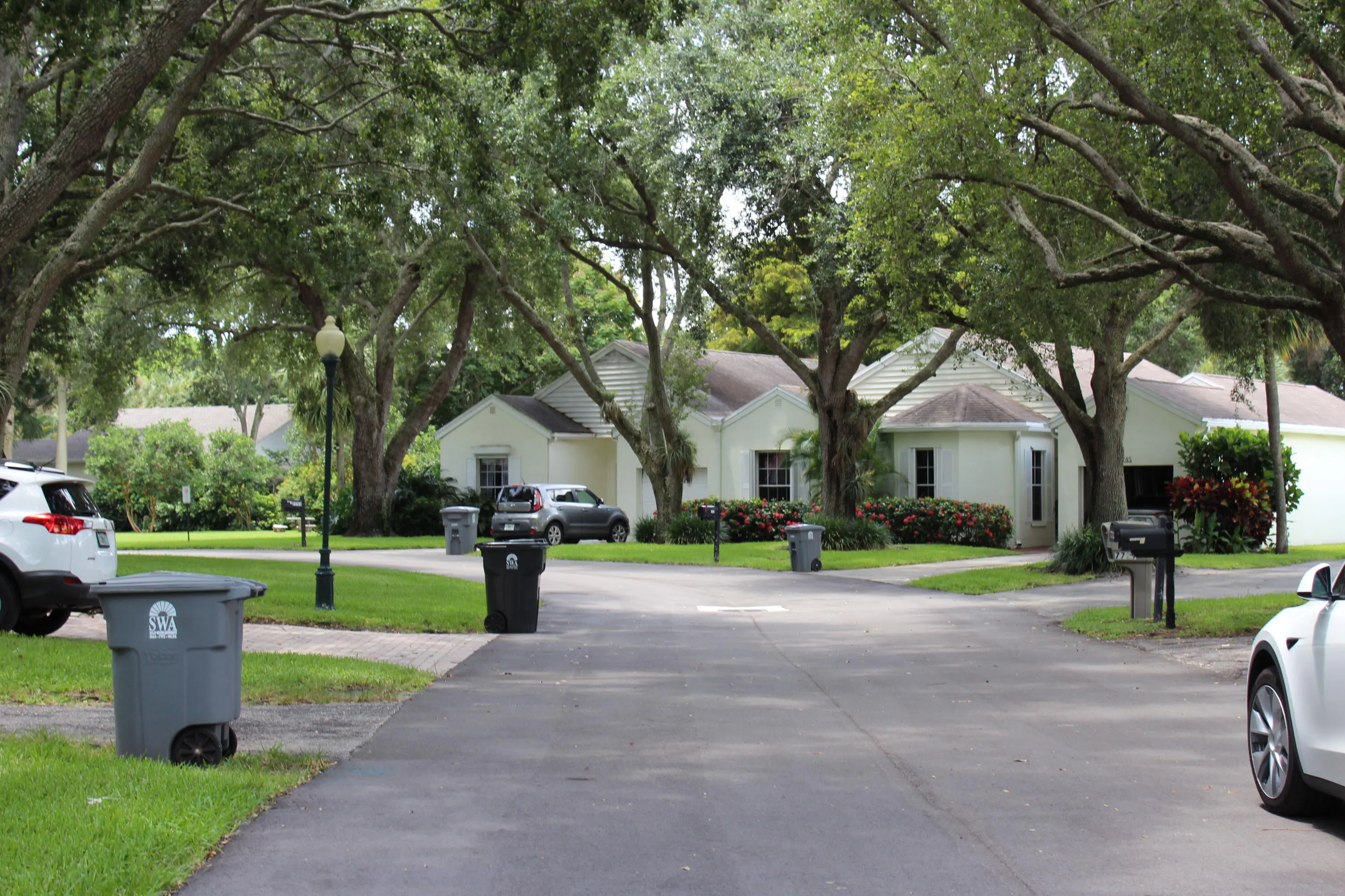 Neighborhood view