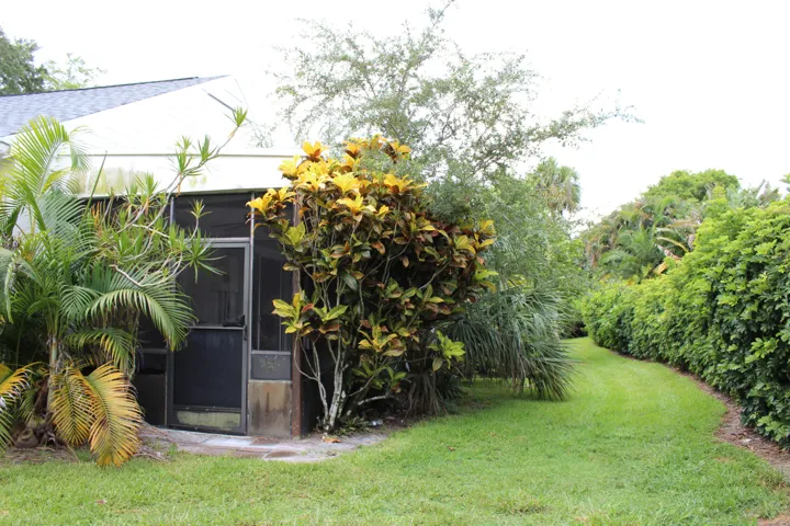 Exterior back yard