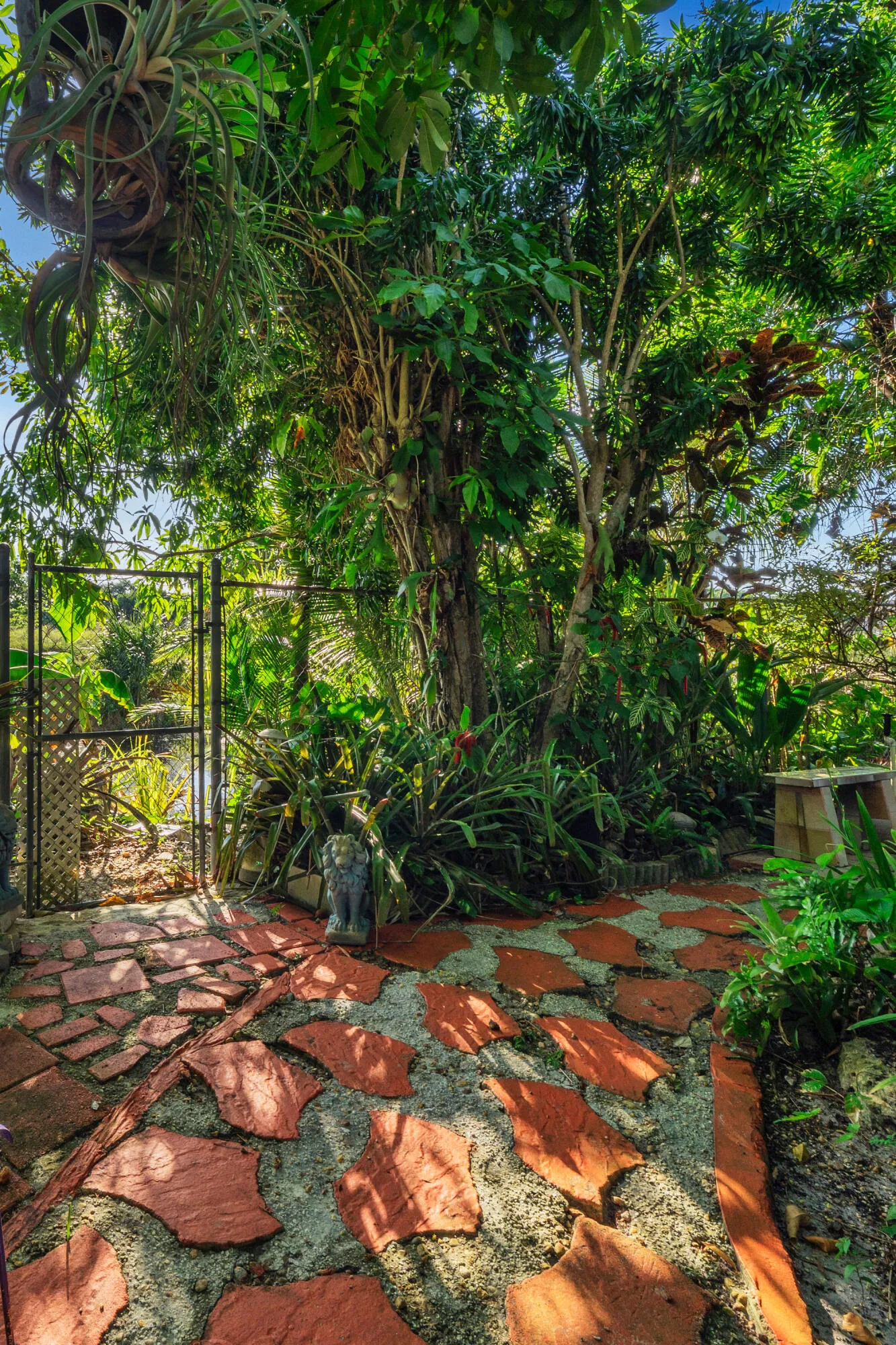 17 Backyard Views (7)