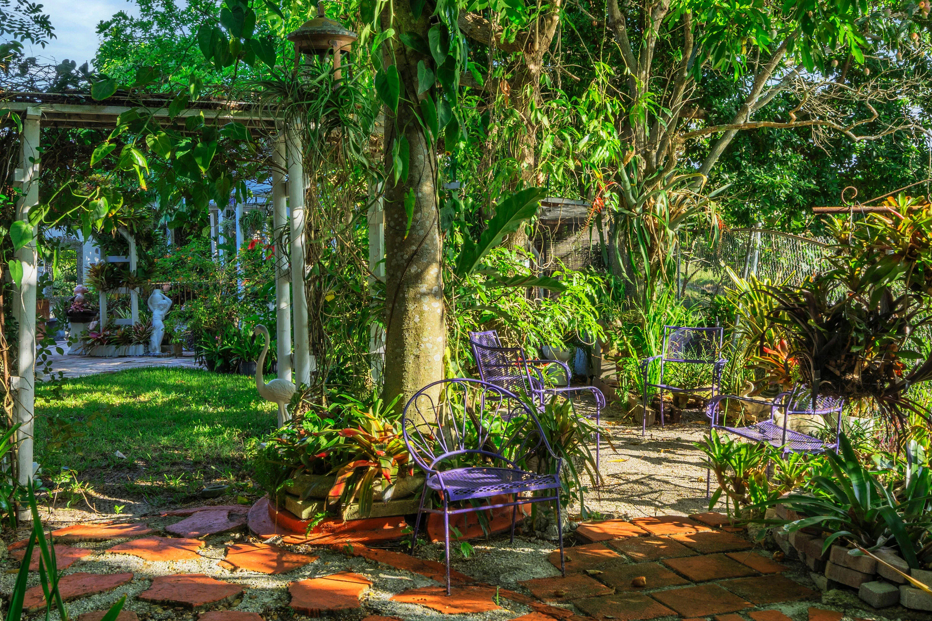 17 Backyard Views (8)