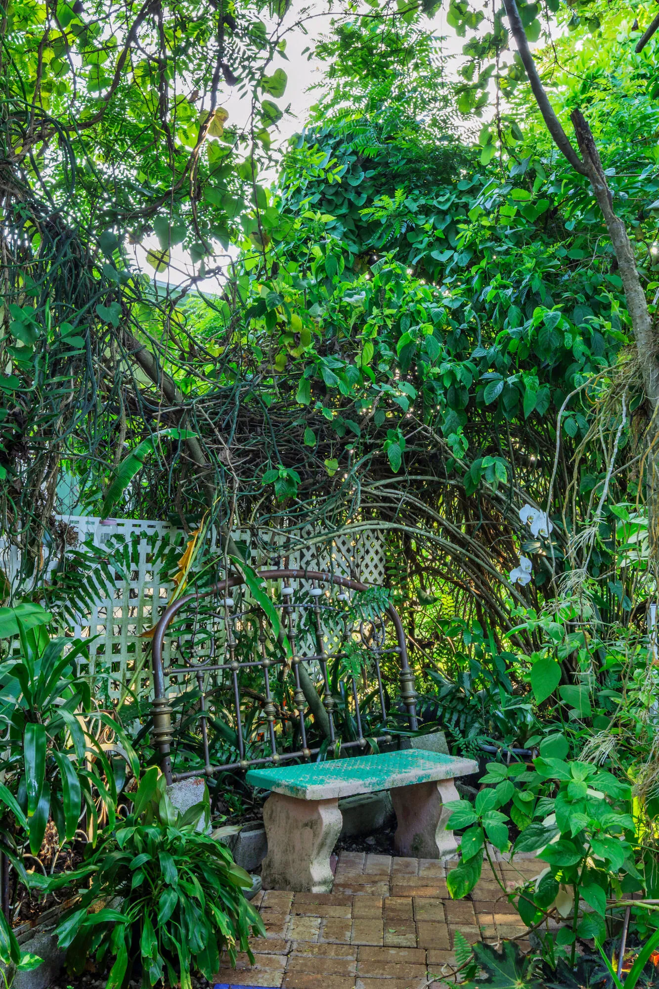 17 Backyard Views (20)
