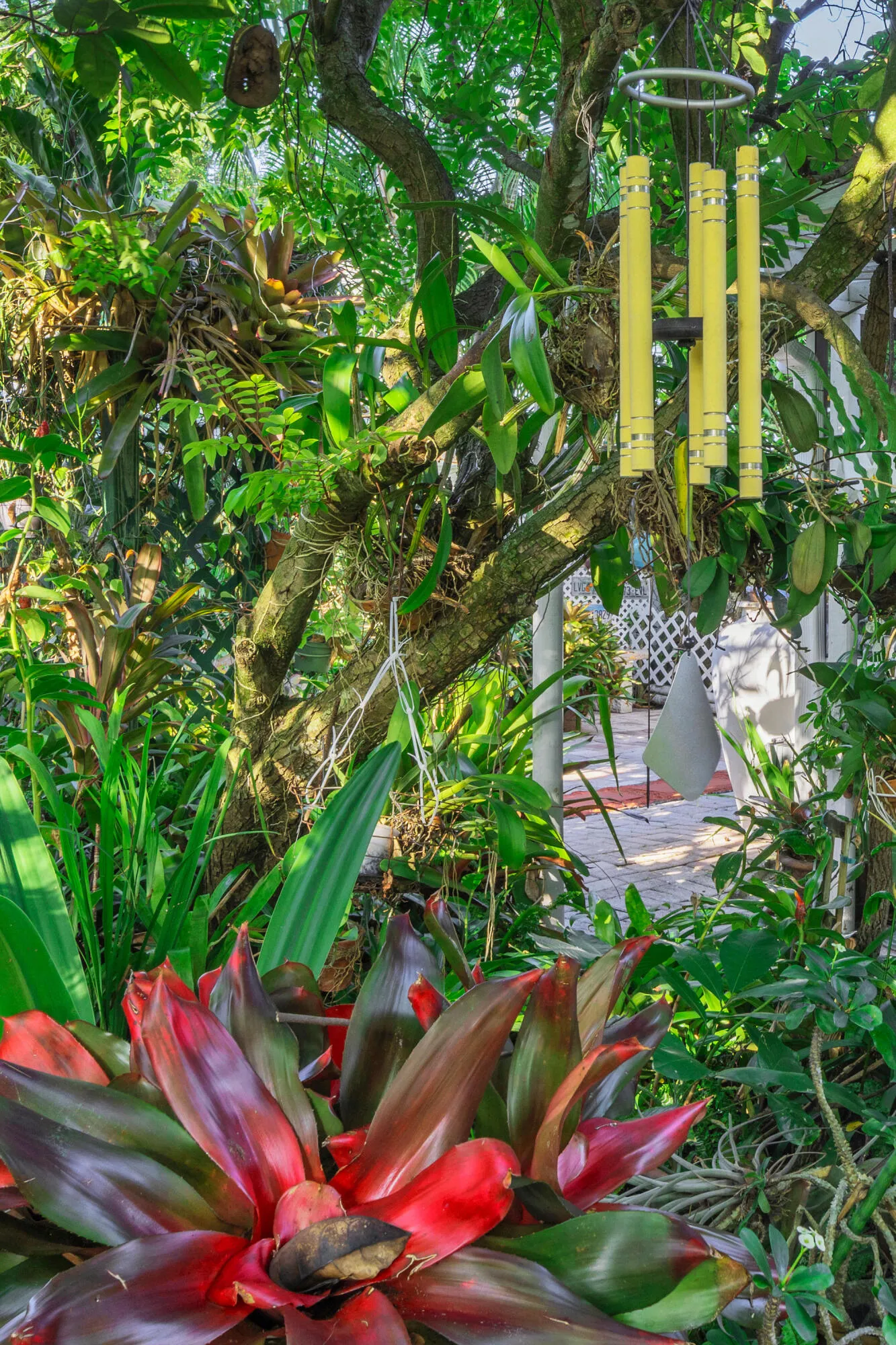 17 Backyard Views (11)