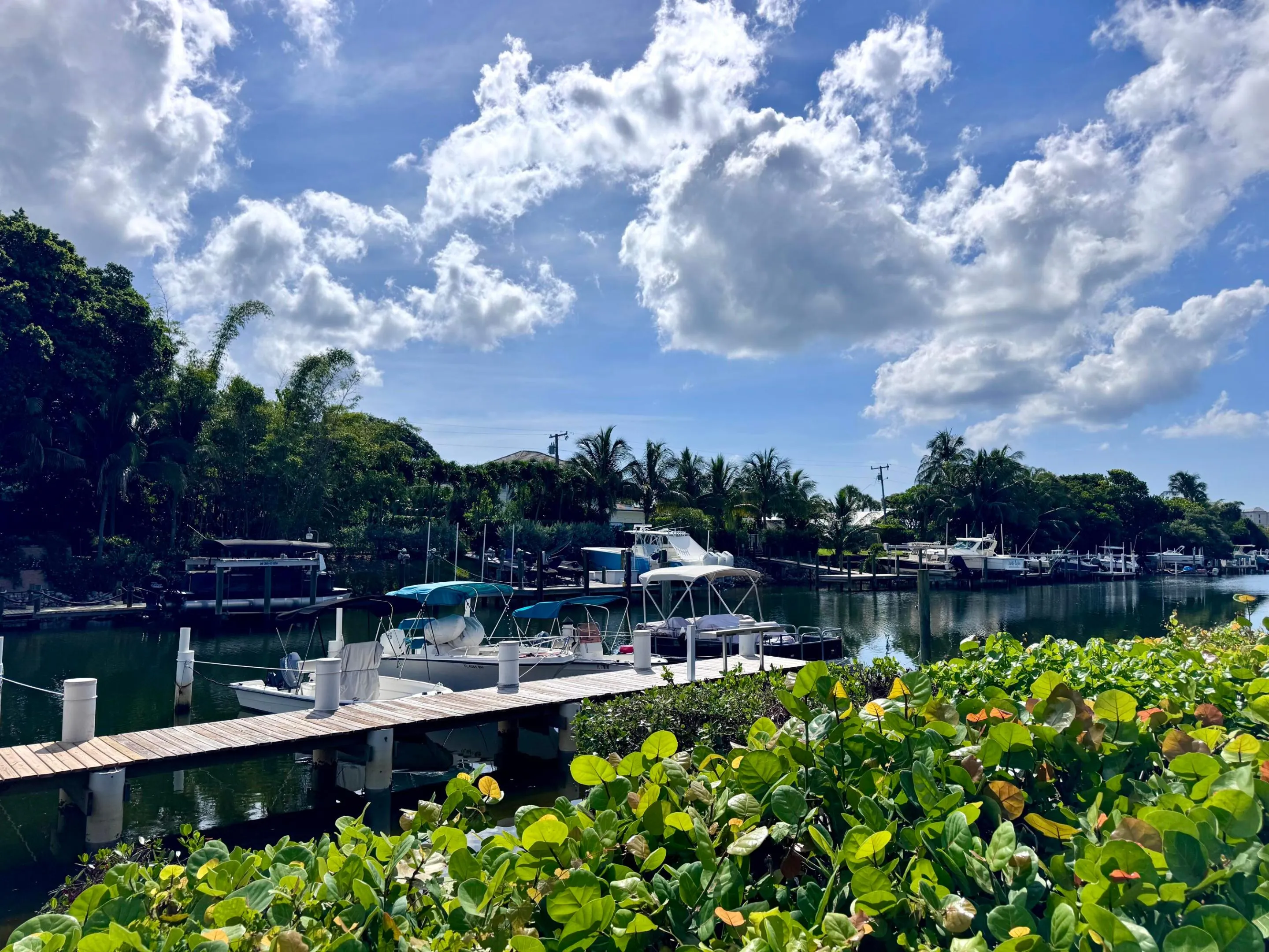 Waterfront View 2