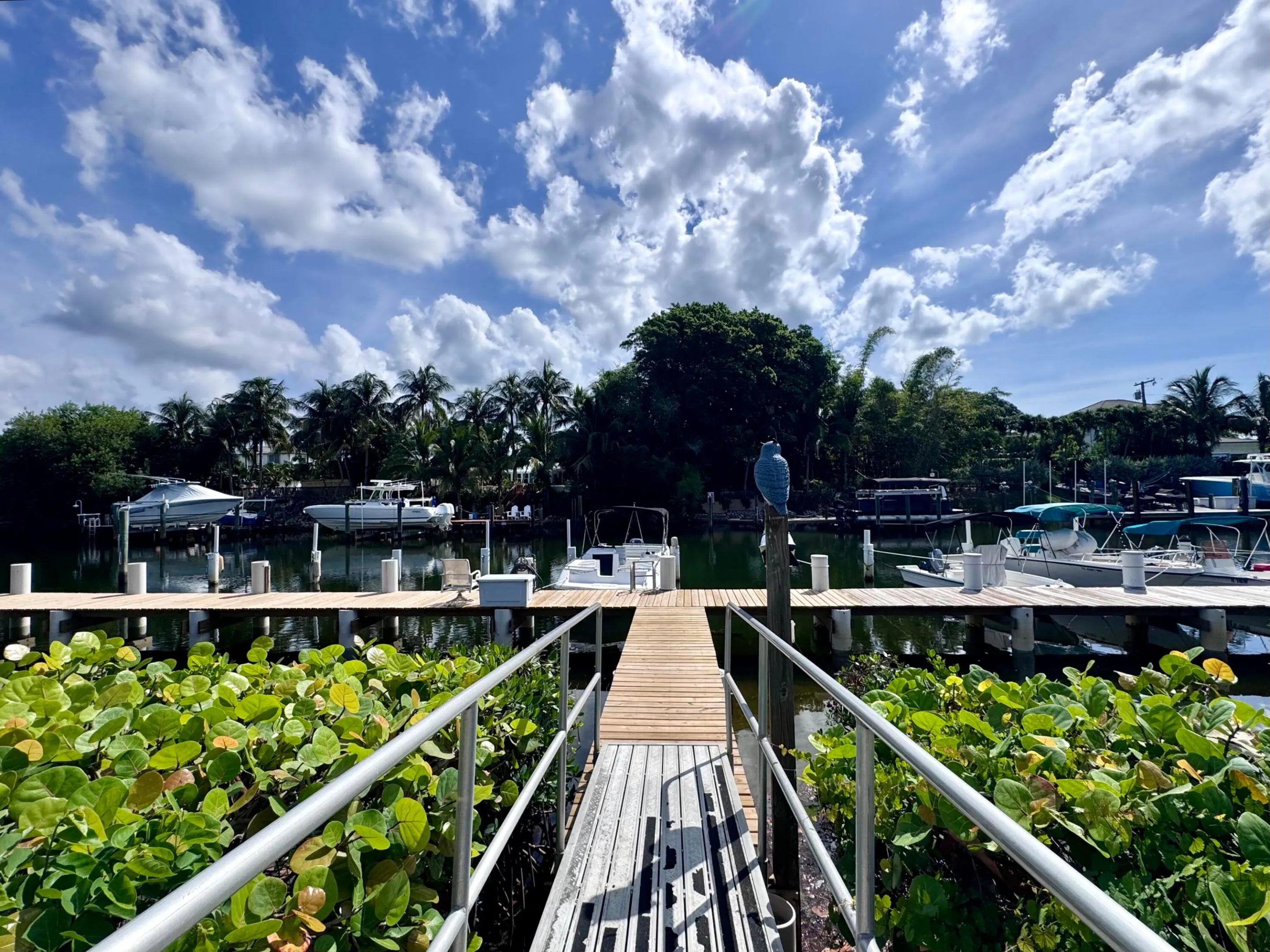 Waterfront View 4