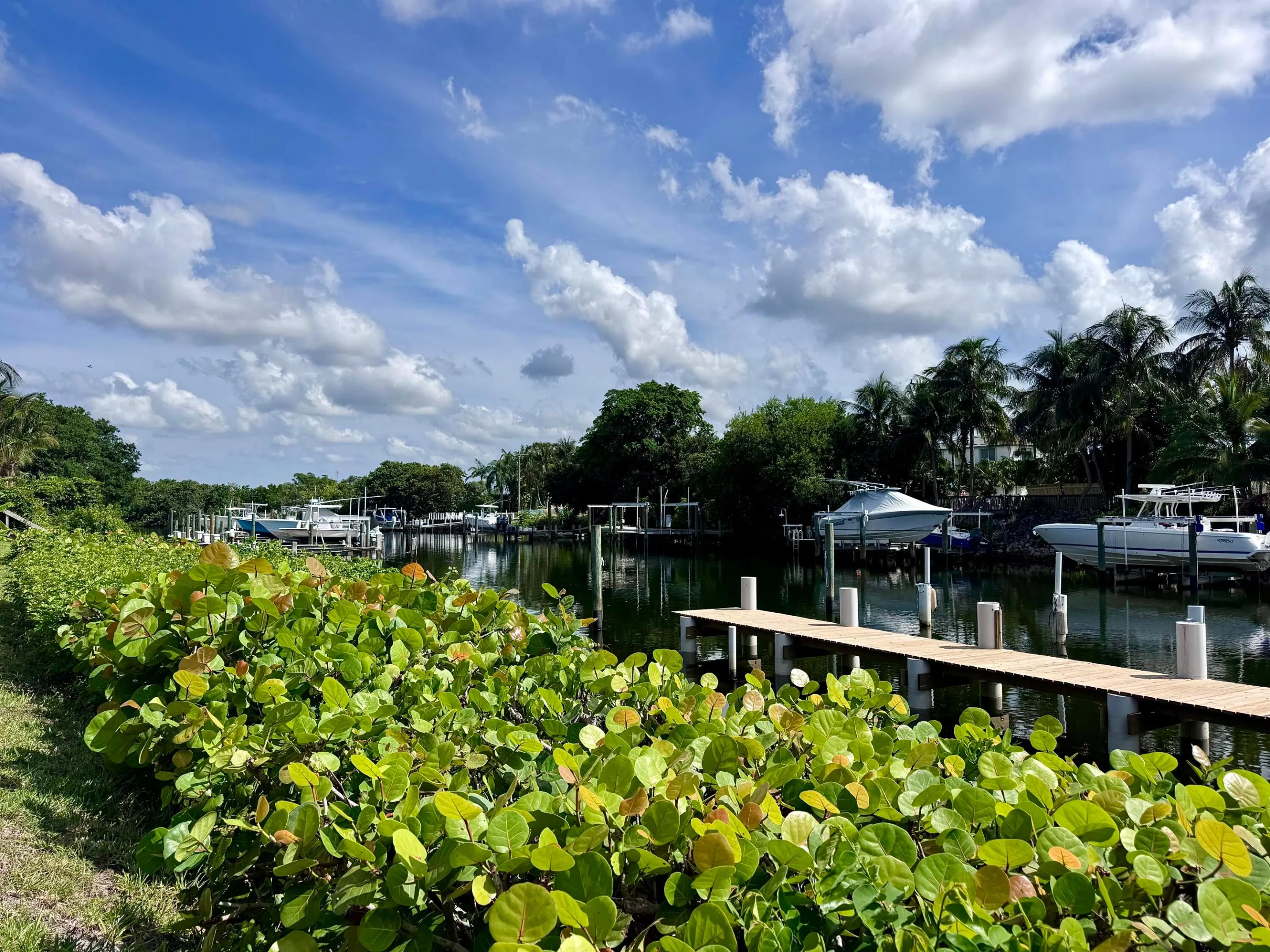 Waterfront View 3