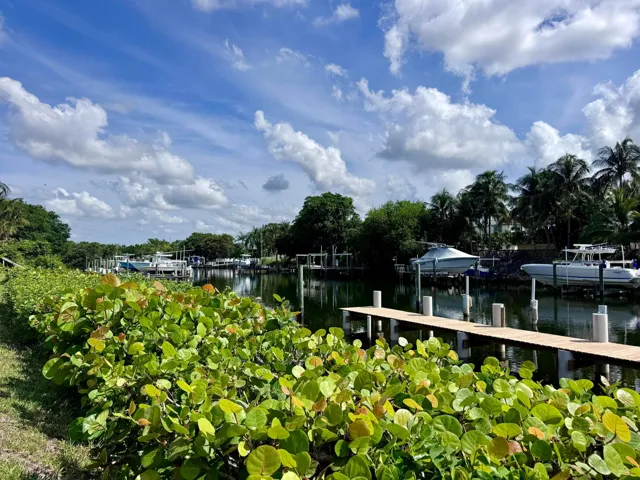 Waterfront View 3