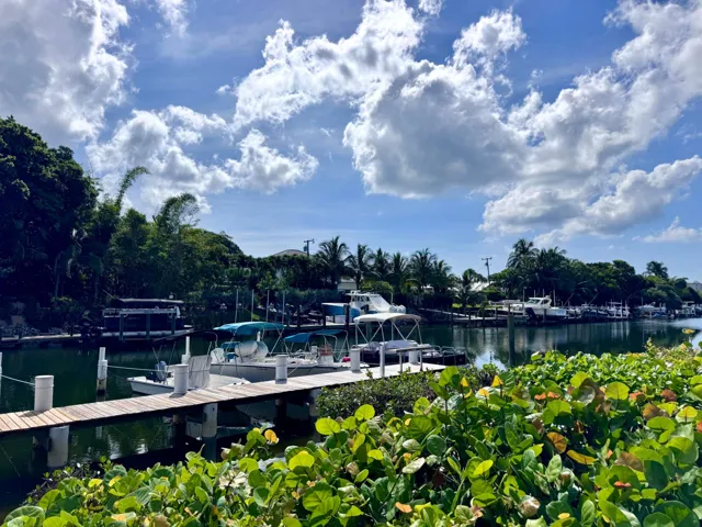Waterfront View 2