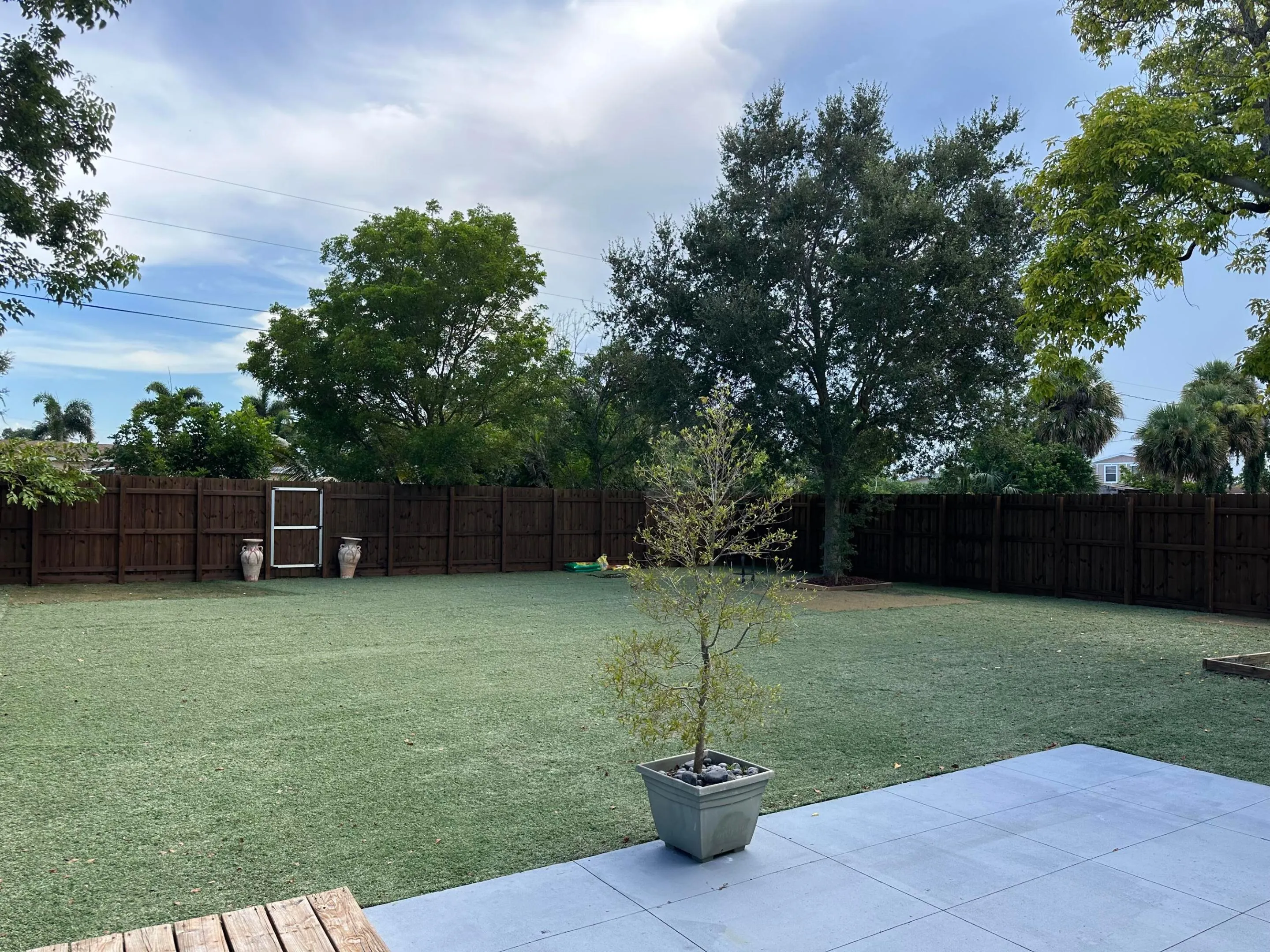 Backyard