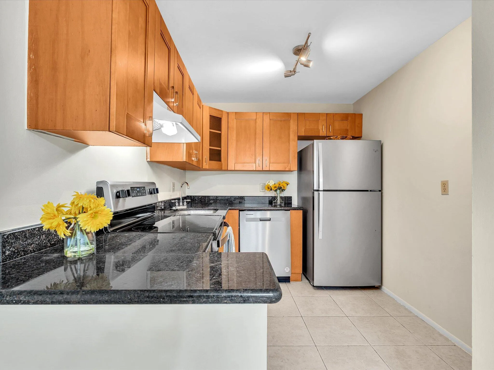 Stainless Steel Appliances