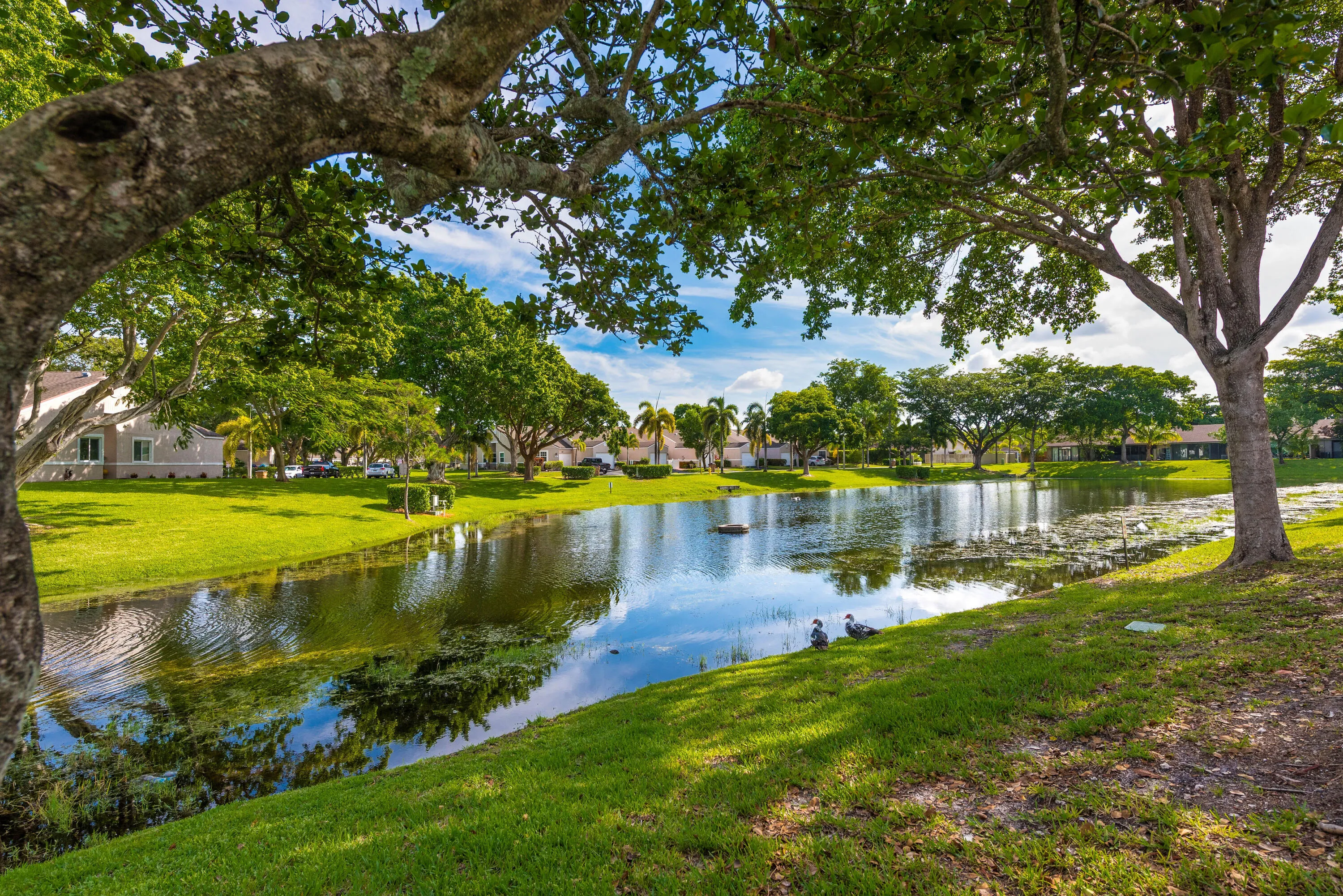 1013NW53rdStDeerfieldBeach-37