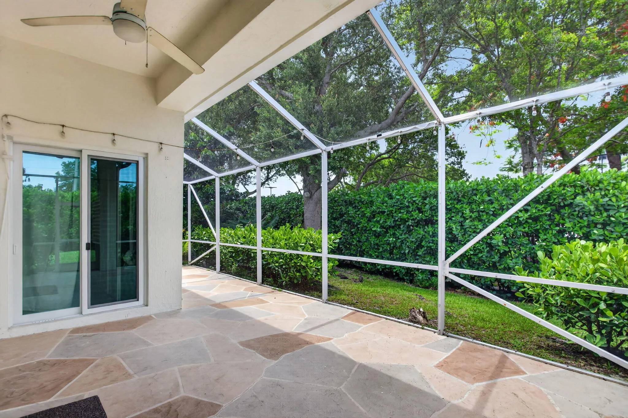 6-web-or-mls-7087-4401