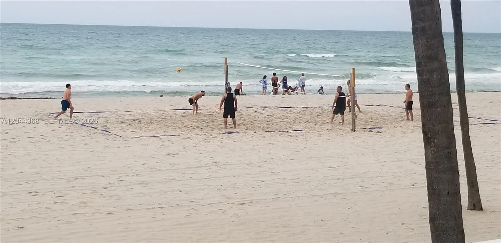 play vollyball at the beach