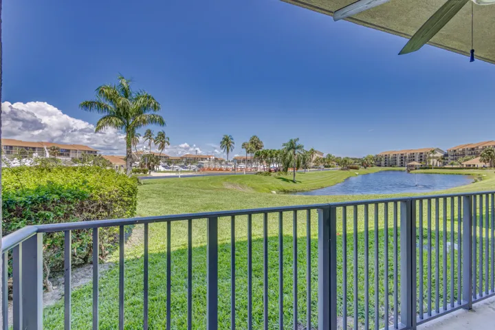 View from covered patio