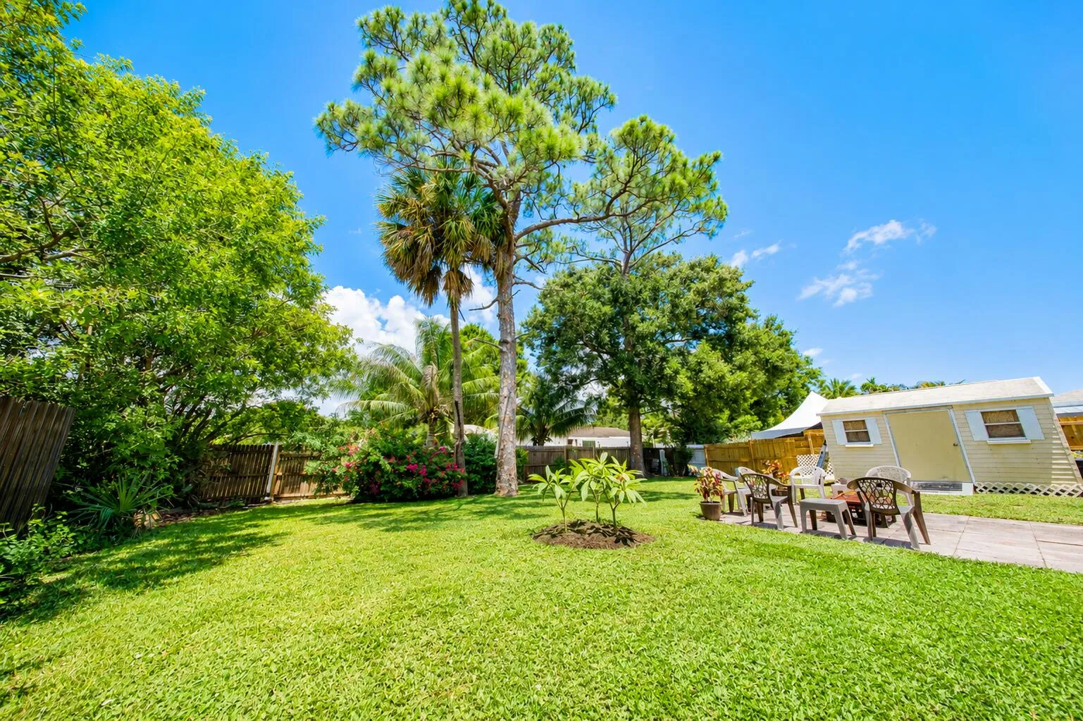Backyard 1