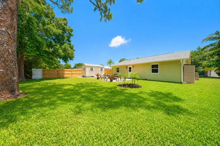 Backyard 4
