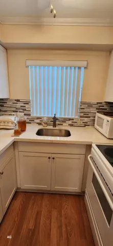 kitchen sink area