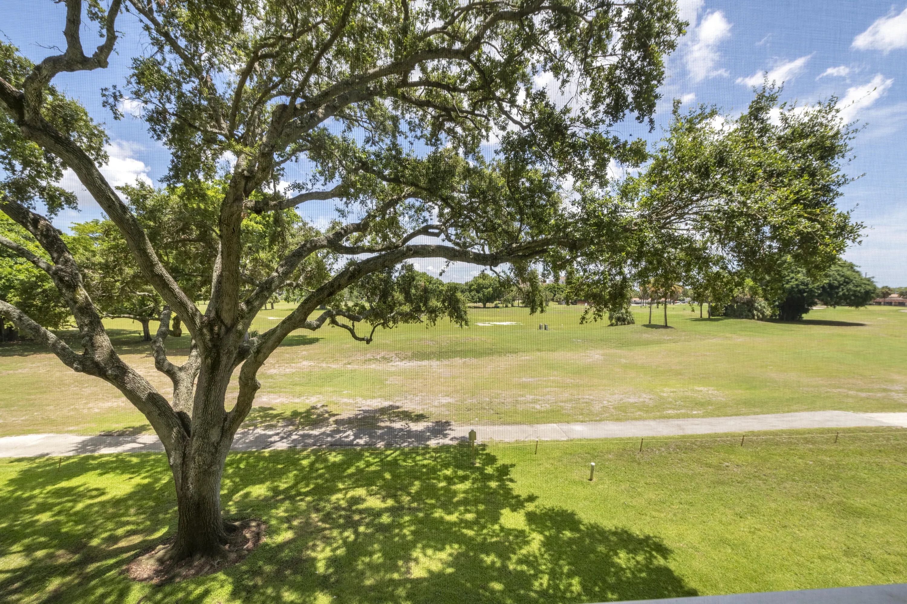 _DSC0869-HDR