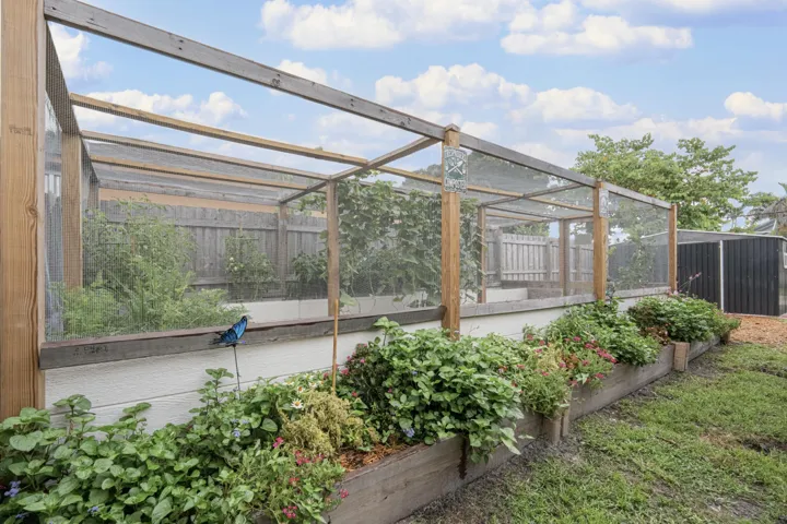 garden2