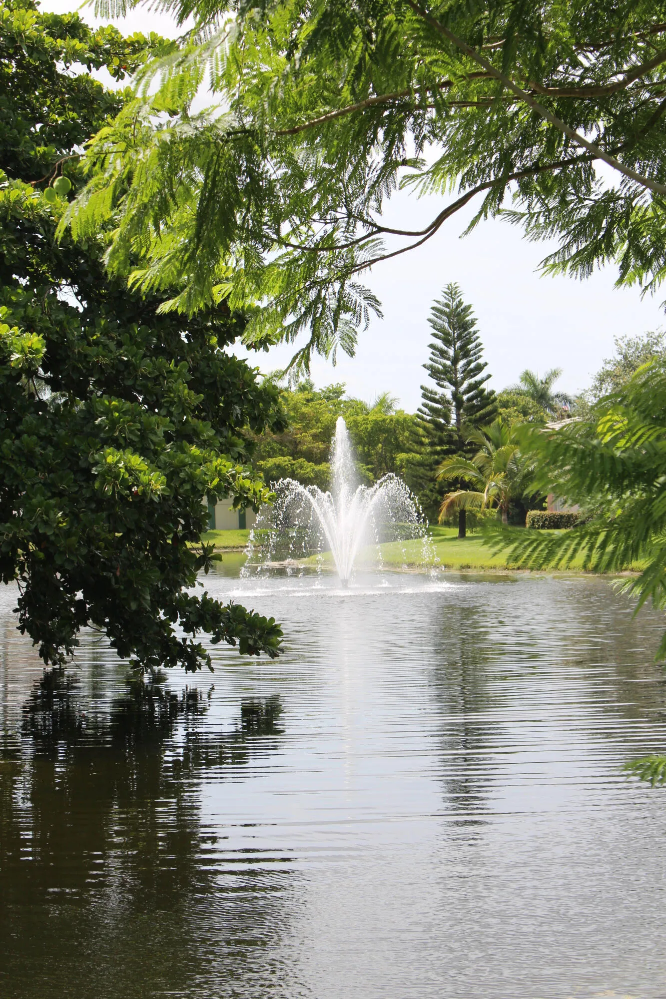 beautiful waterfall