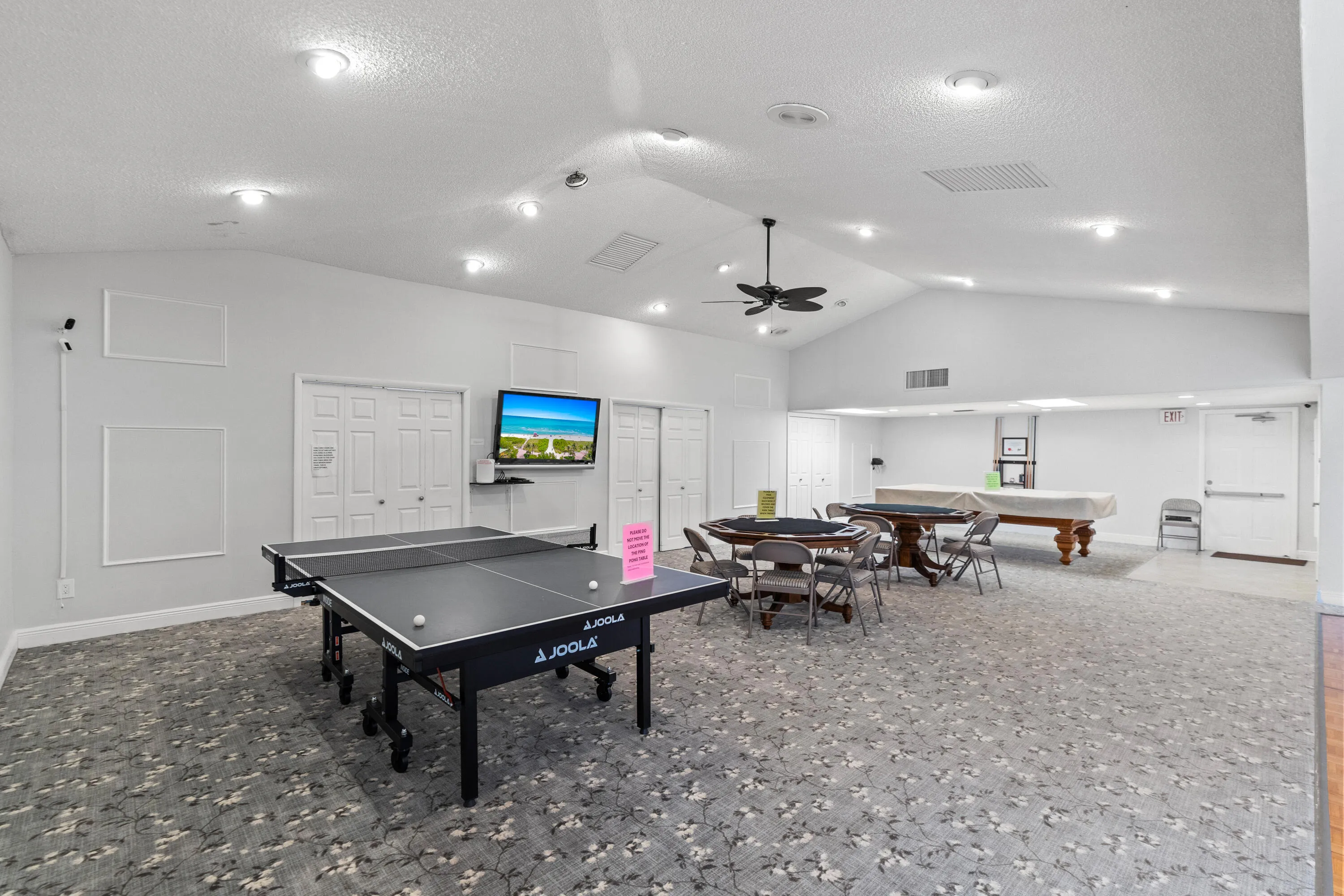 Table tennis / billiards room