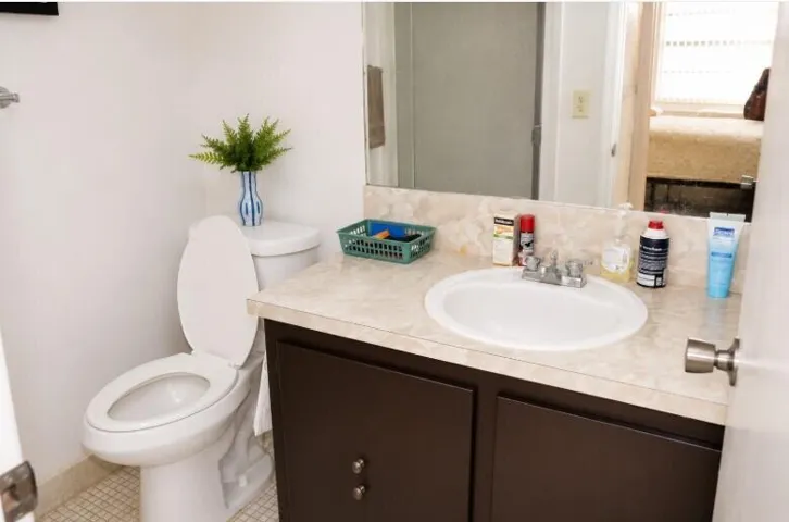 master bathroom sink
