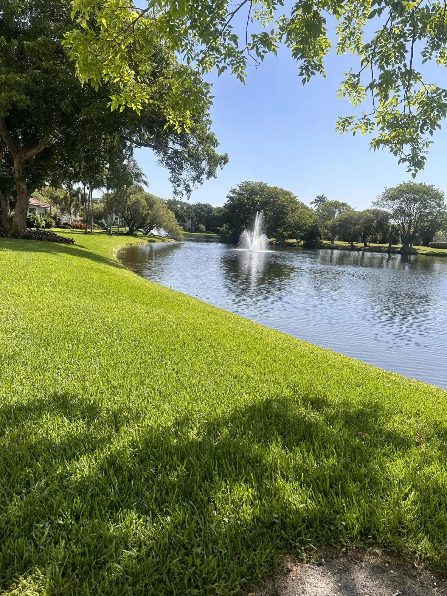 View from Balcony & Walking around Lake