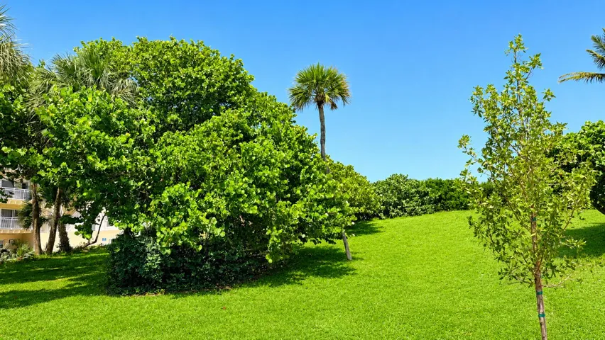 Beachside Park