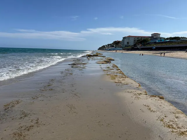 Beach at Low Tide