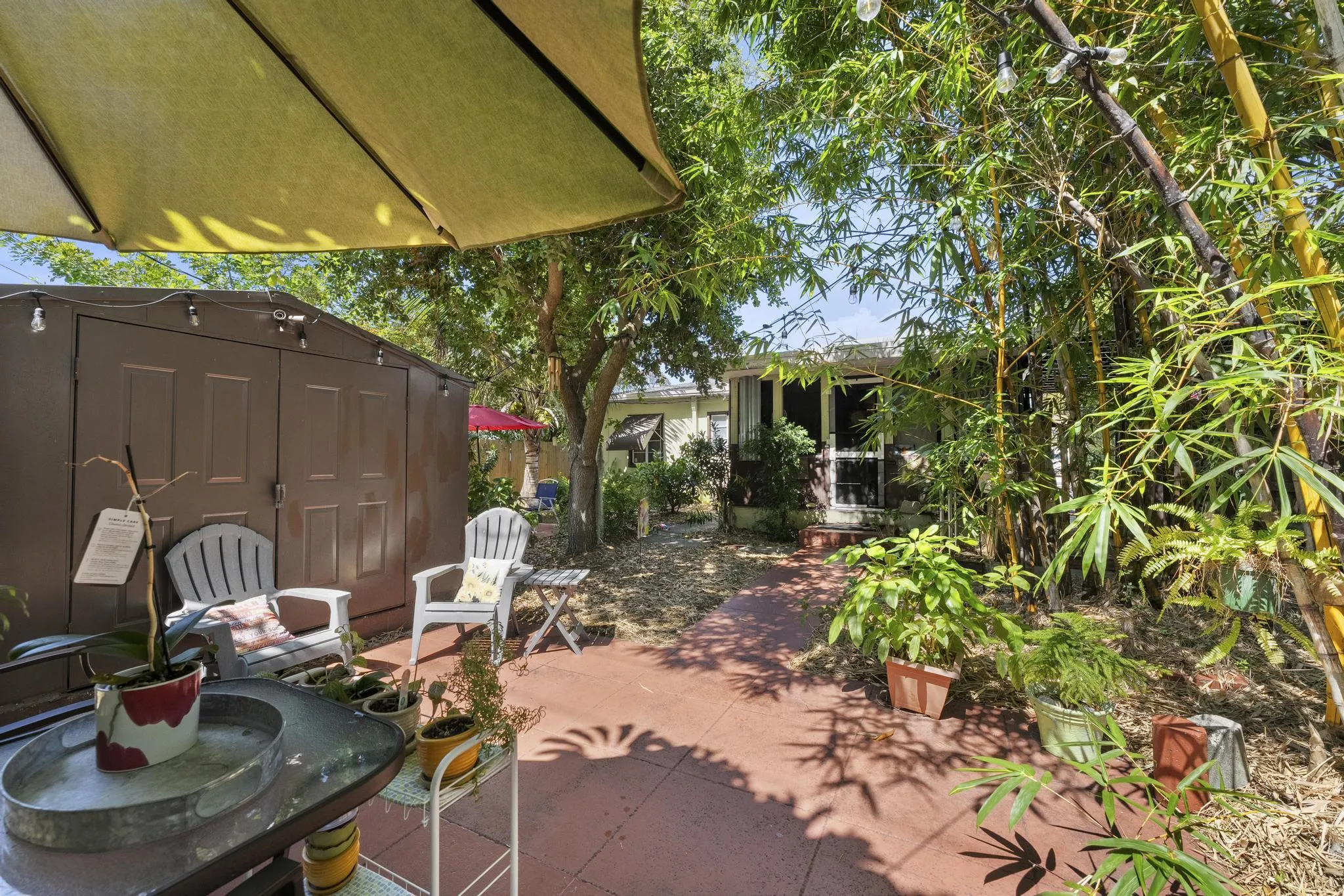 Backyard