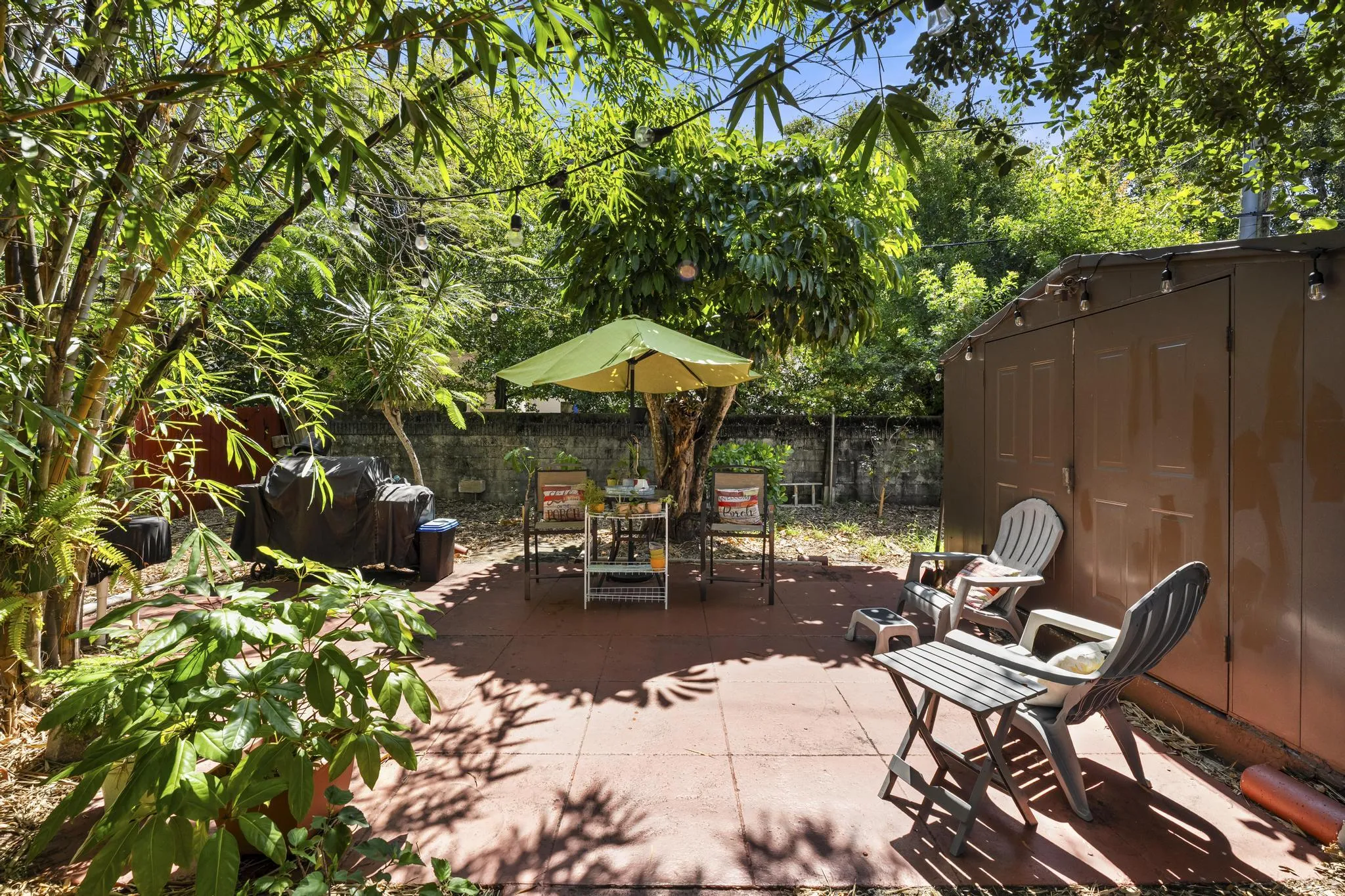 Backyard