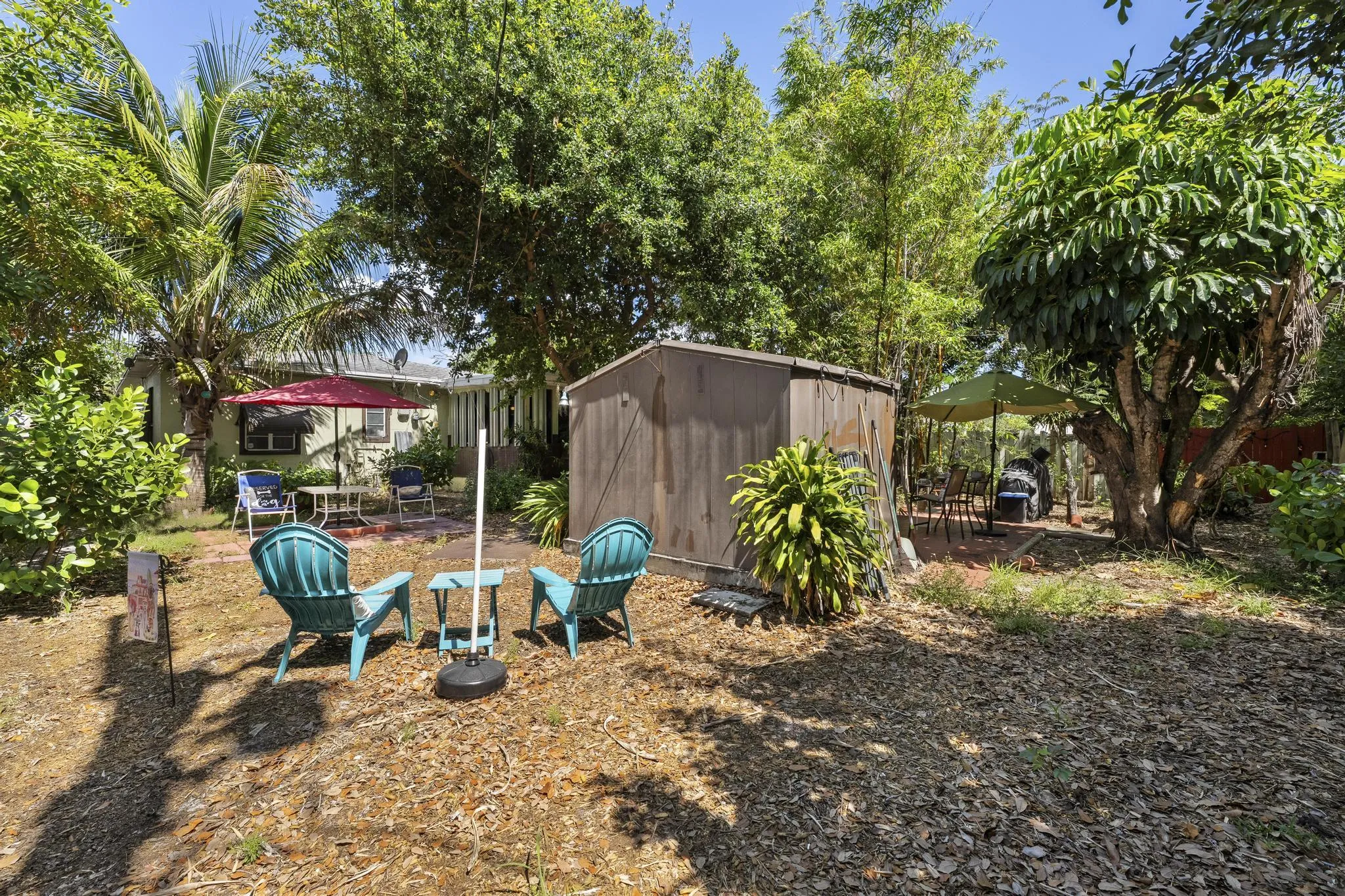 Backyard