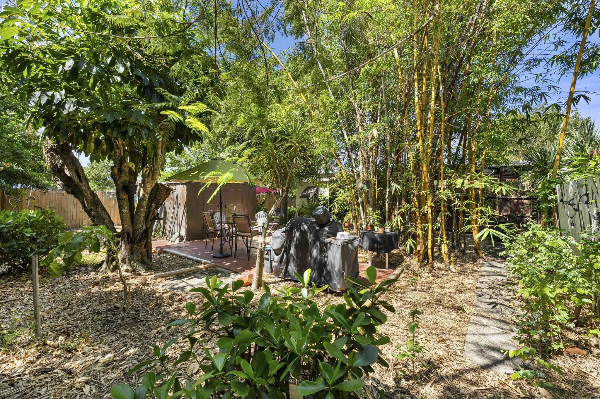 Backyard