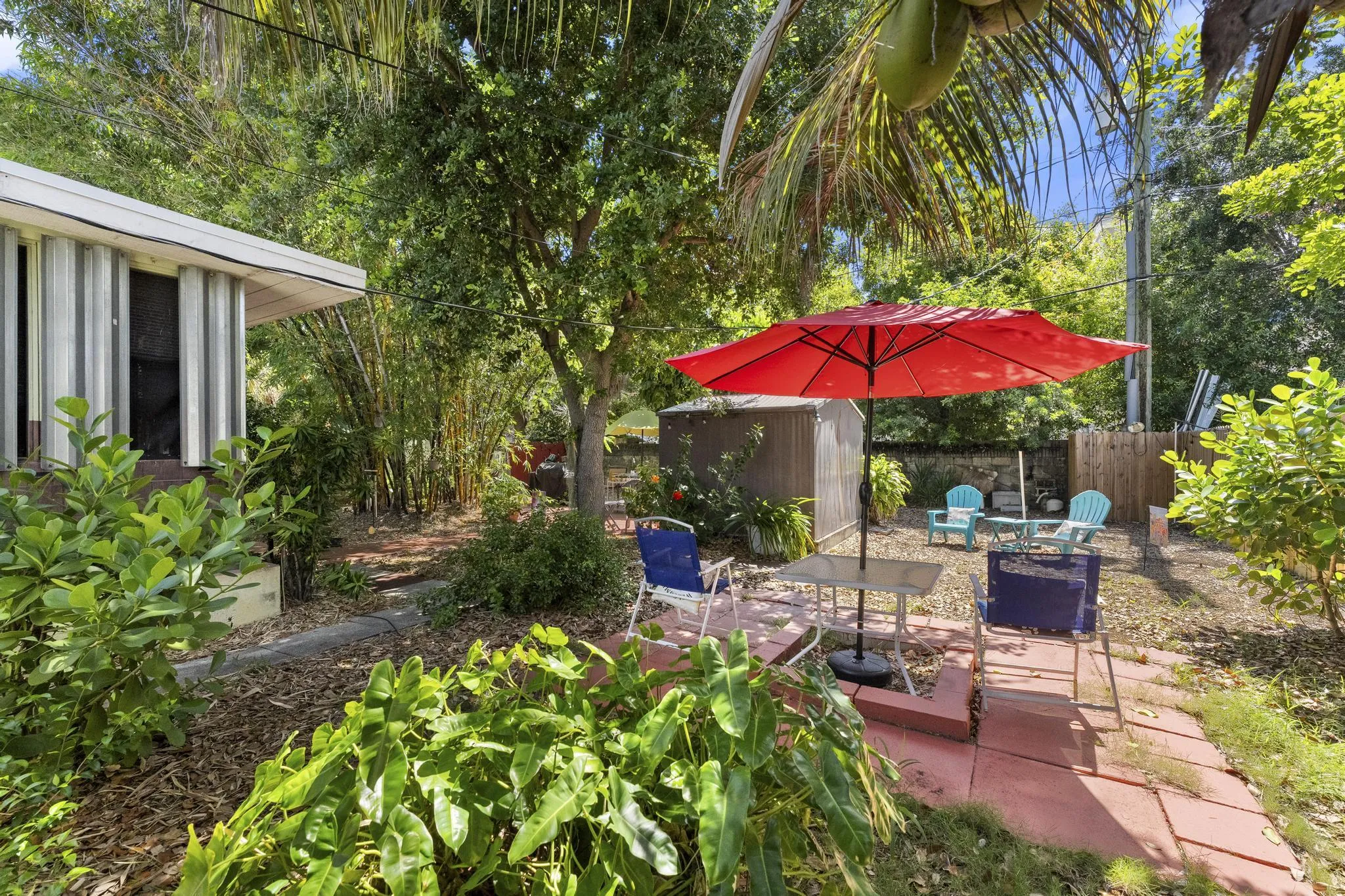 Backyard
