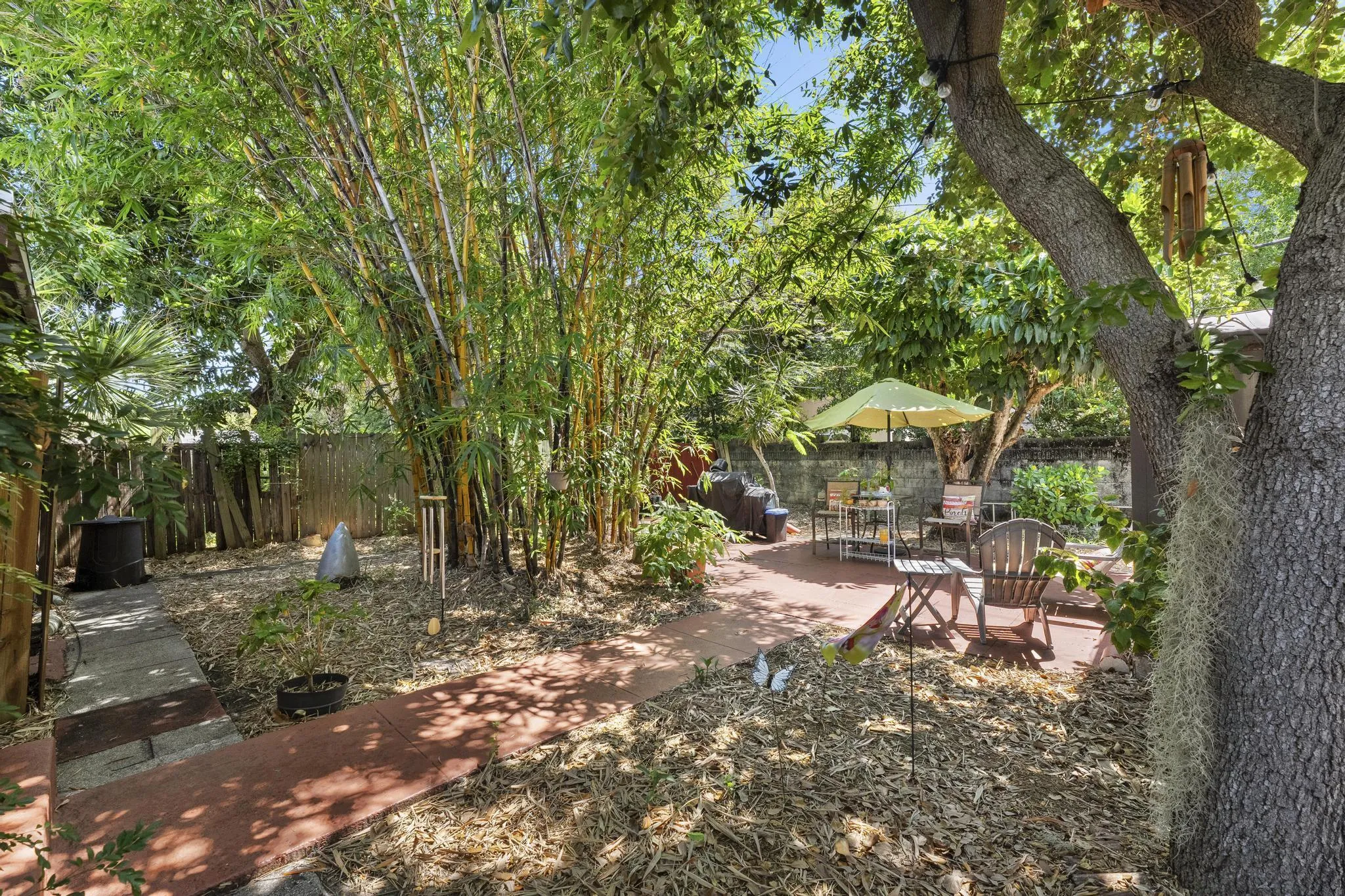Backyard