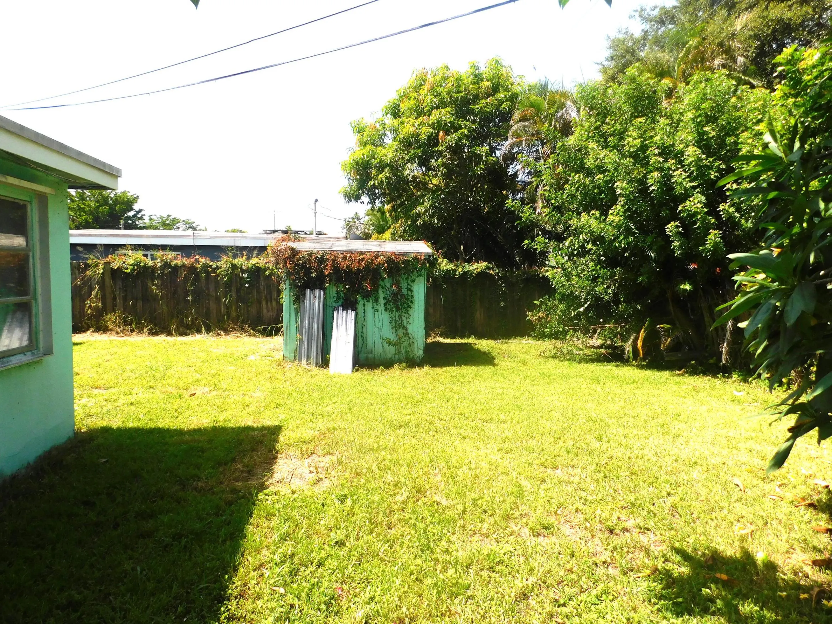 Backyard