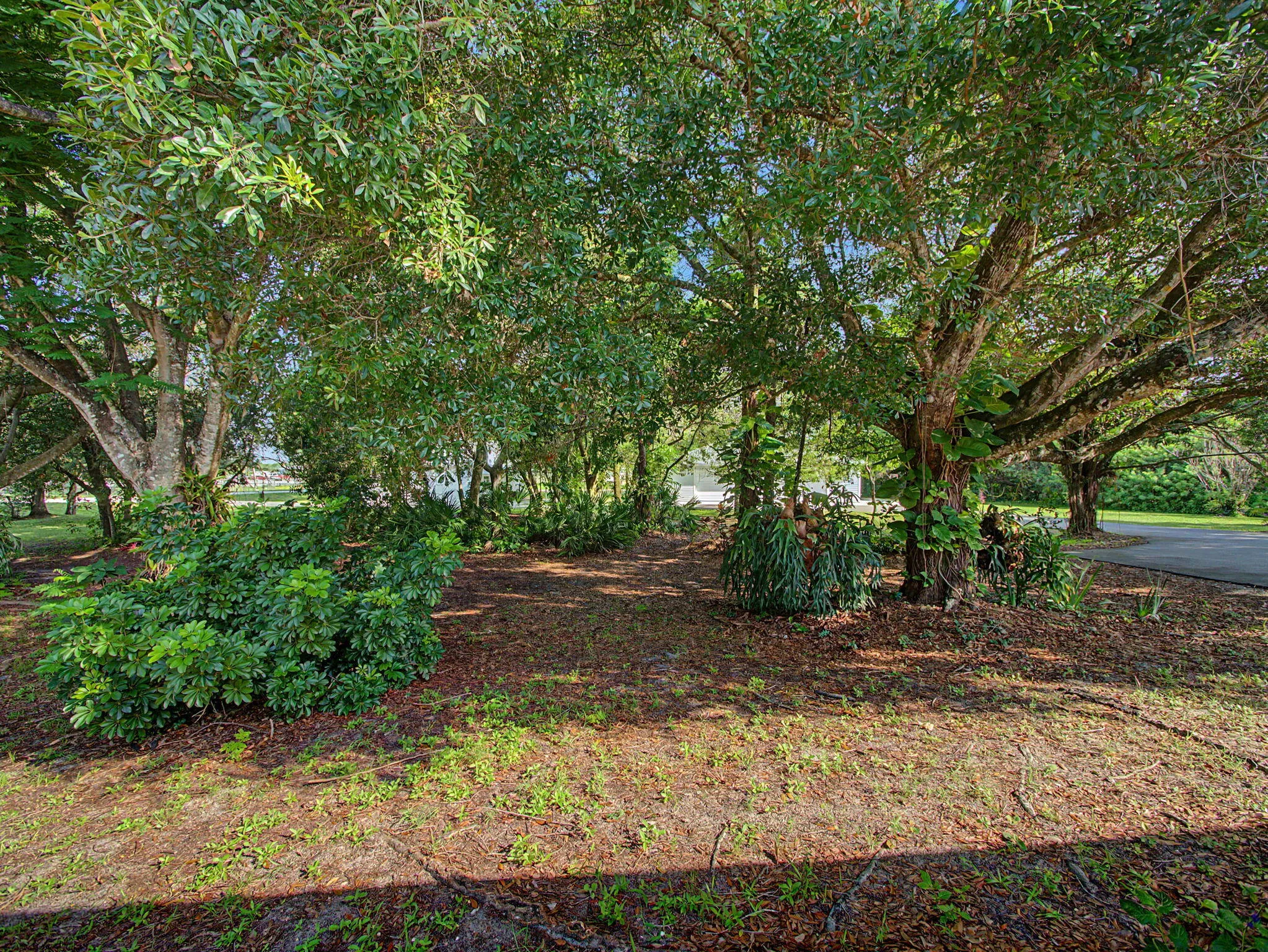 Property photo 46