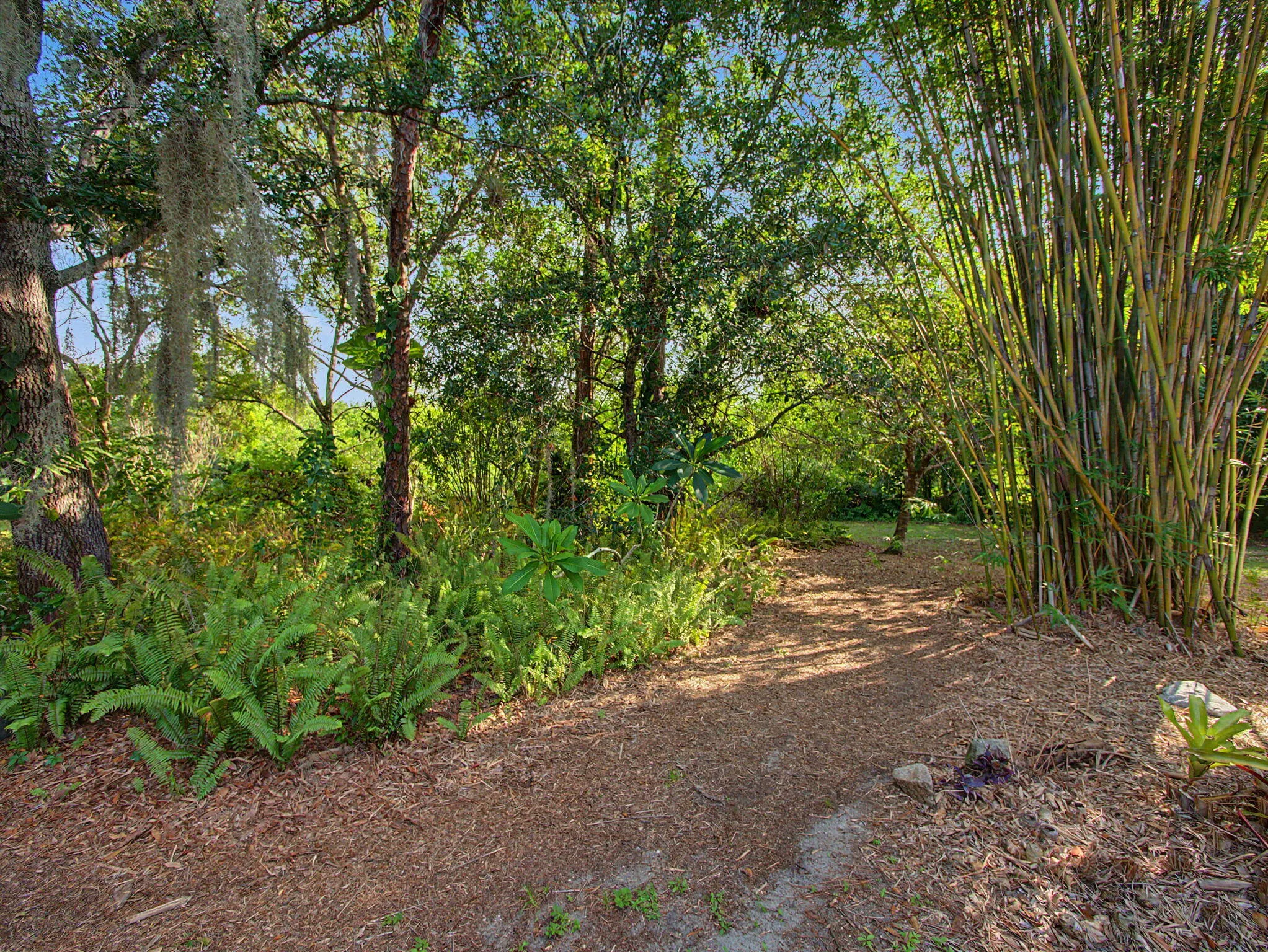 Property photo 45